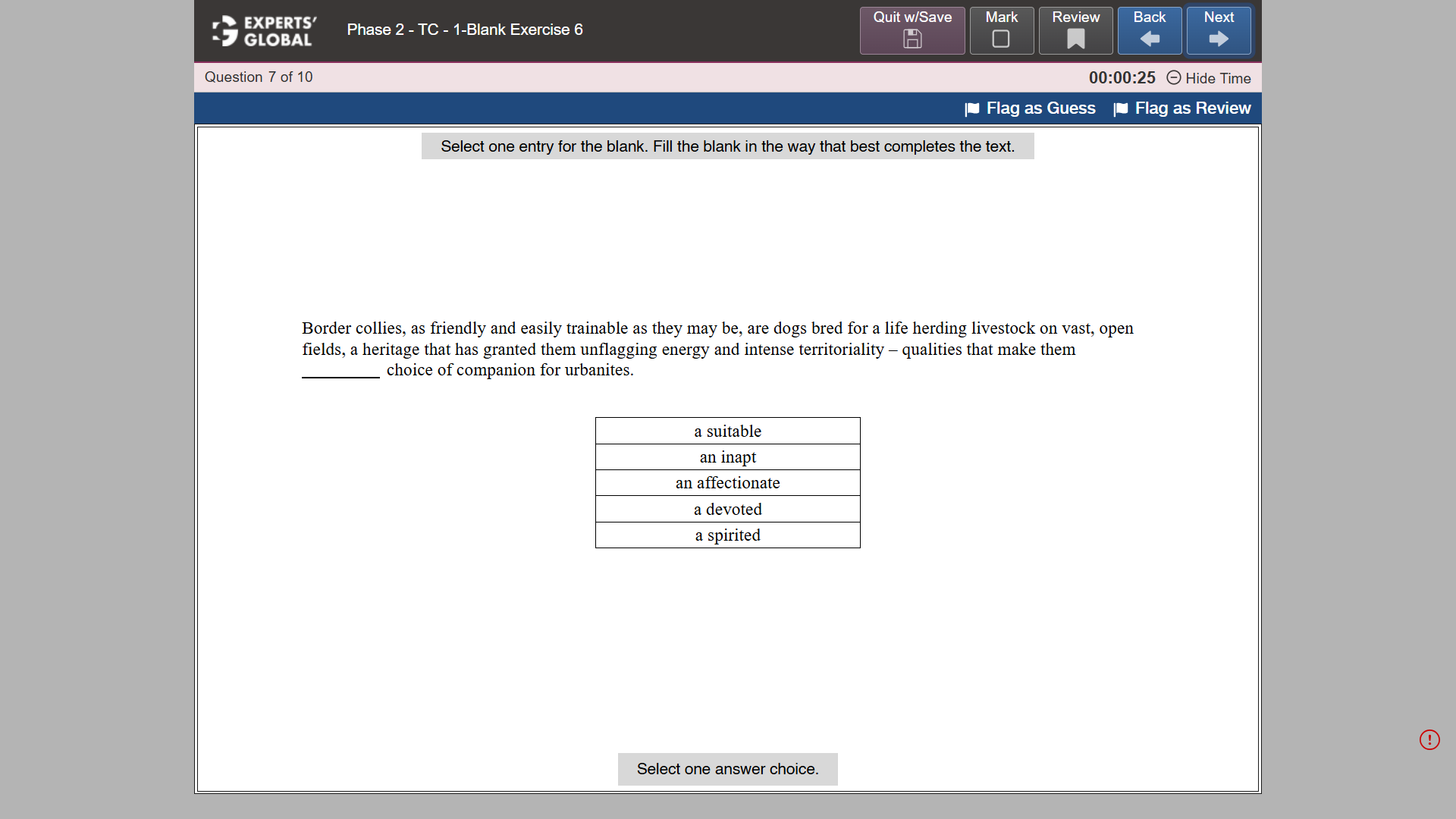 GRE-Style Text Completion 1-Blank Practice question 7
